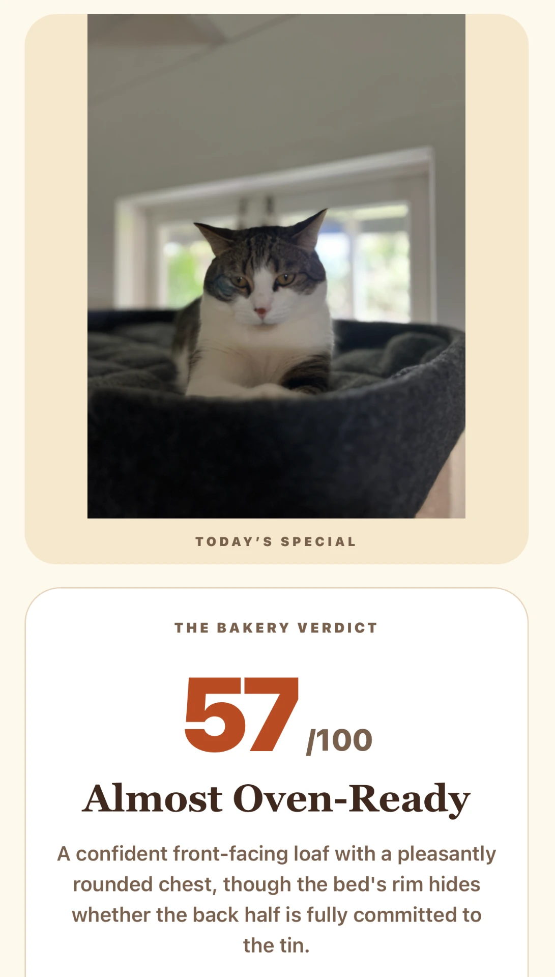 Loafed app result showing a cat, a score of 57 out of 100, the verdict Almost Oven-Ready, and commentary